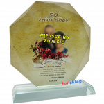 Prezent na Rocznicę Ślubu ze zdjęciem jubilata 20 porcelanow